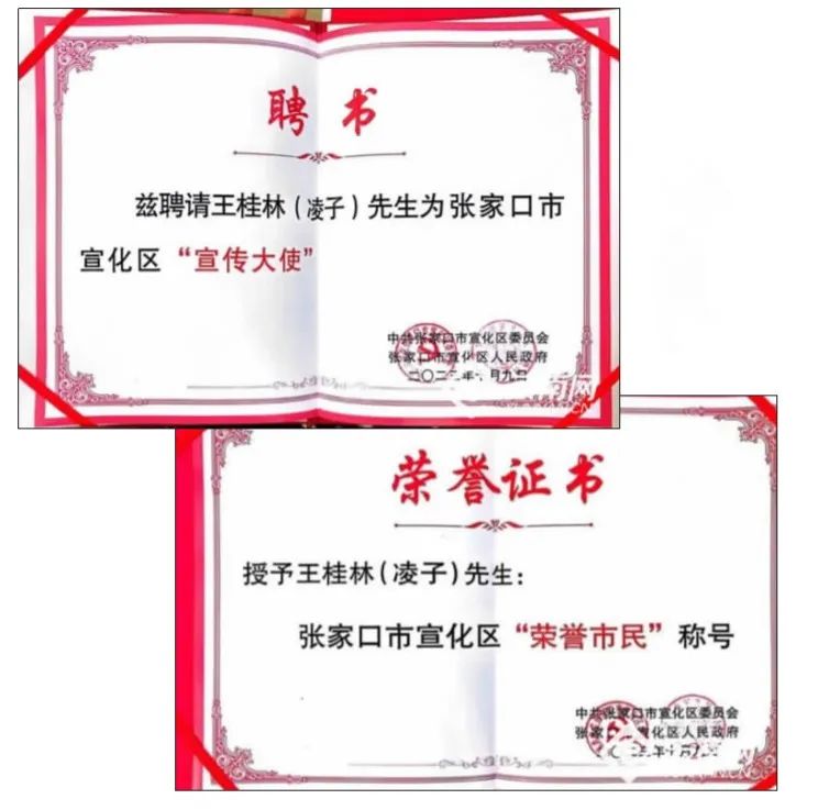 宣化区颁发给王桂林的聘书和荣誉证书 云南网图