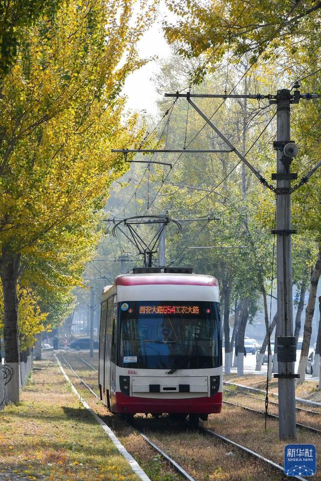 长春:保留落叶 让秋景融入城市!|长春市_新浪财经_新浪网