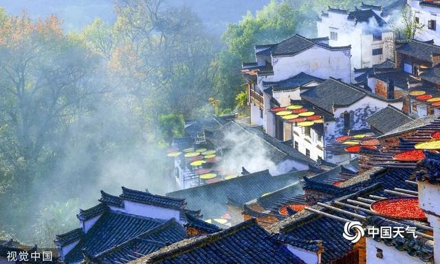 (签约供稿人/视觉中国 图片来源视觉中国)