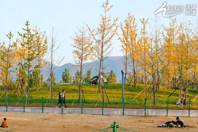 大美山西丨来南山运动公园 遇见最美秋日