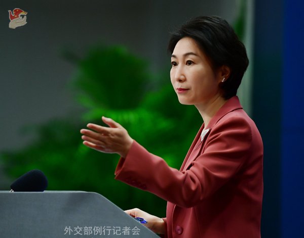 毛宁 资料图 图源:外交部网站