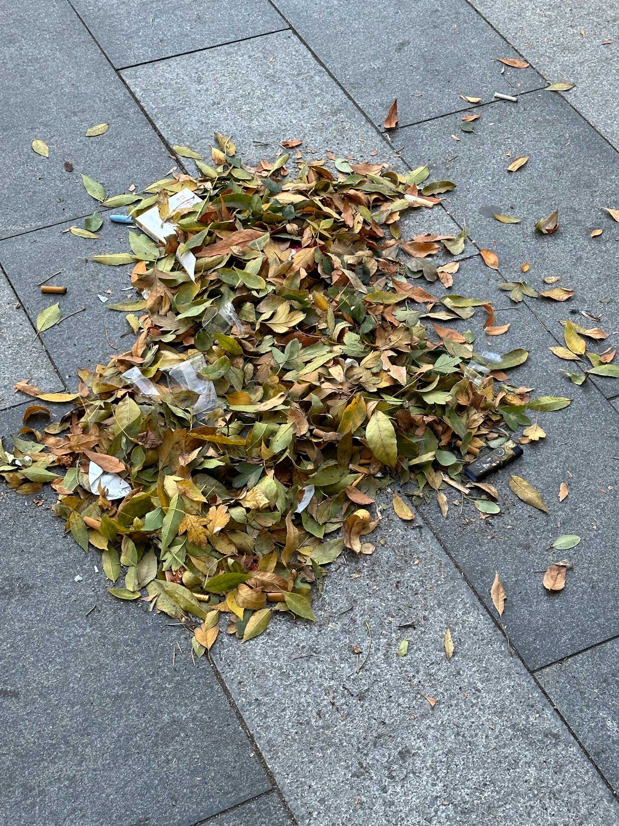 入秋落叶纷飞,地铁站外满地烟头隐患多_新浪财经_新浪网