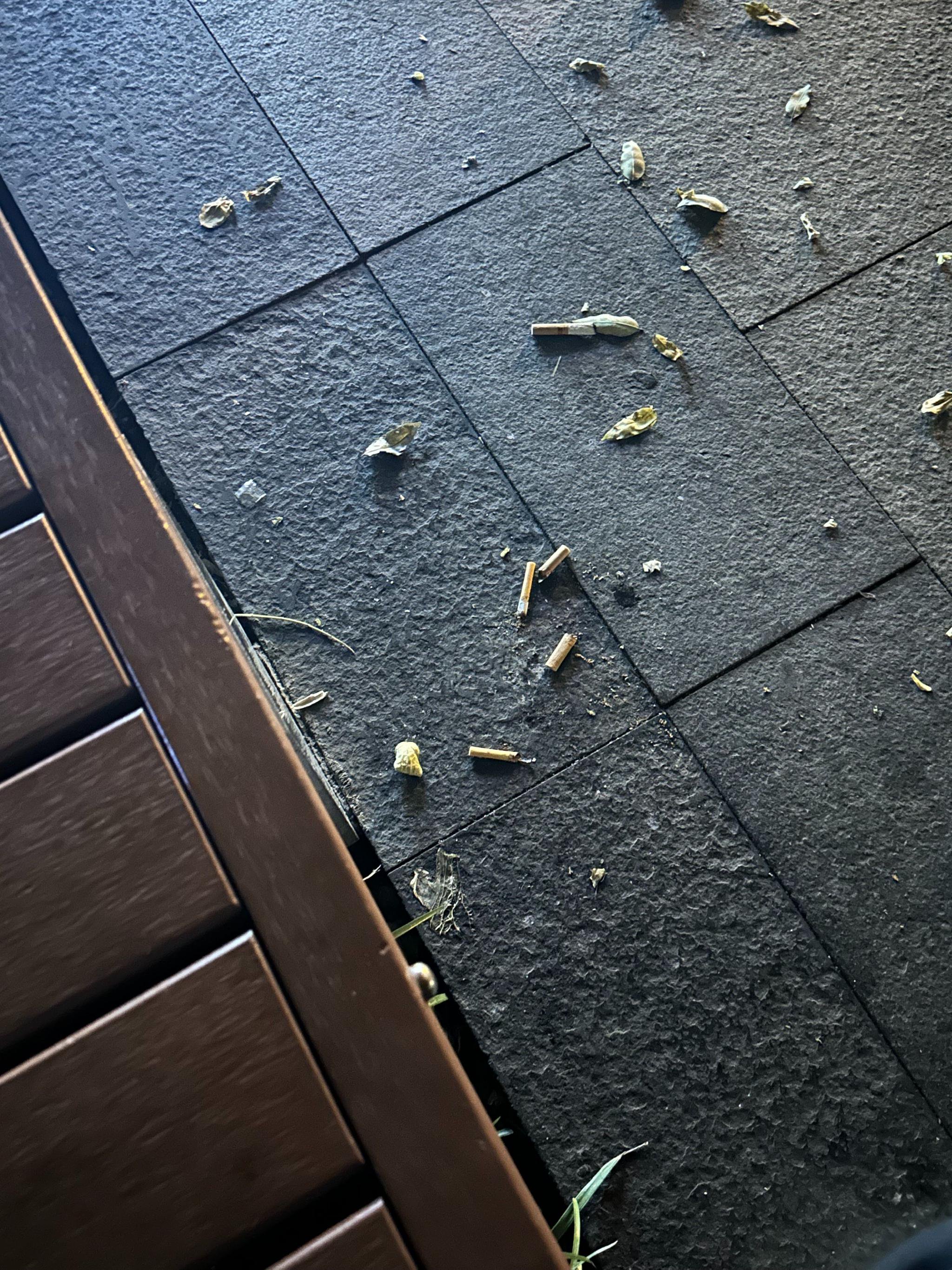 地铁东单站g口外地上乱扔的烟头