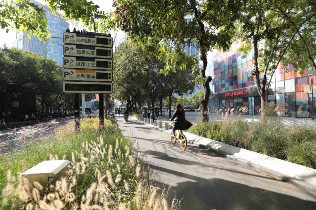 三里屯路新升级!体验在花木葳蕤中慢行