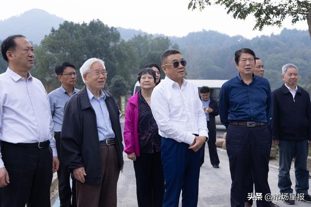 (集体参观考察庐江县昔日红色根据地,今朝和美新乡村建设情况)