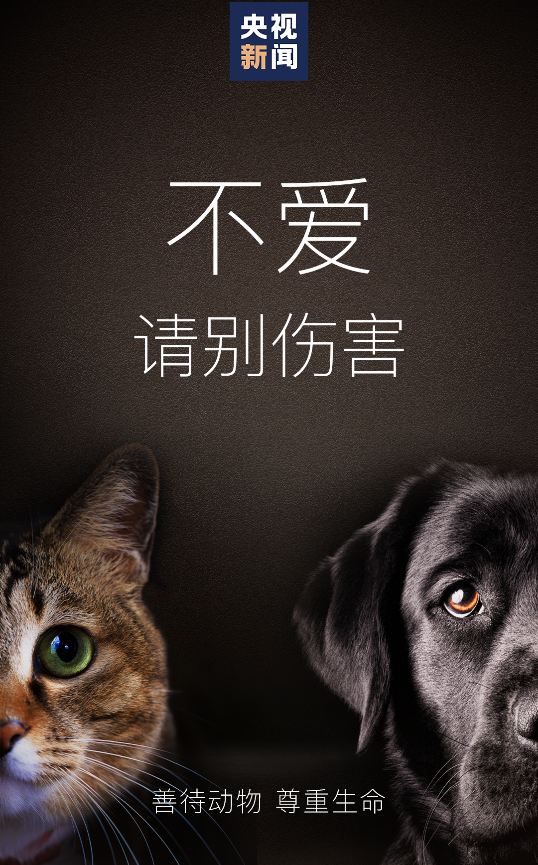 学校通报了一起不久前做出虐待动物的恶性行为也有人因不健康的心理有