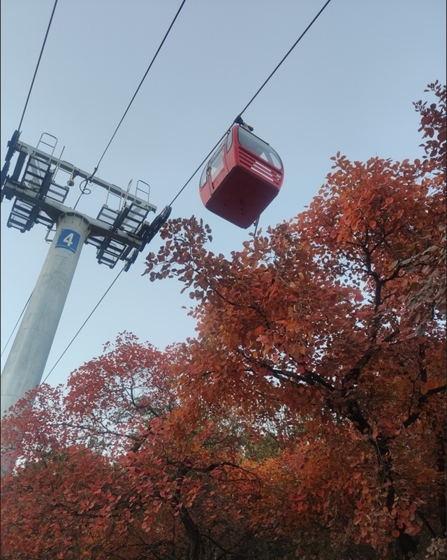 640_801竖版 竖屏