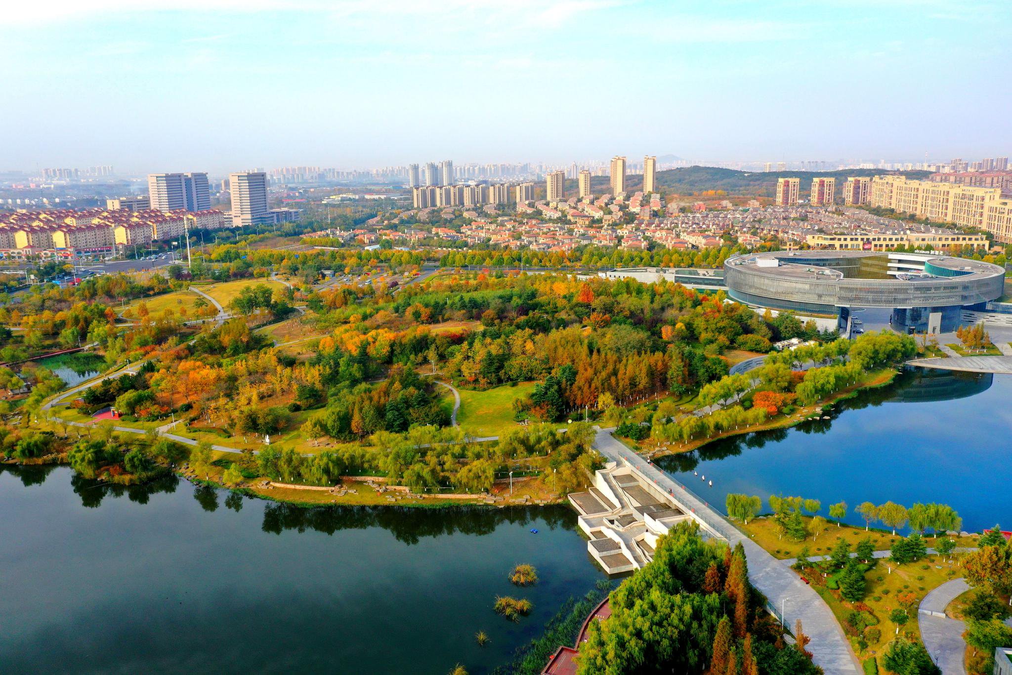 10月29日,在青岛市即墨区一处城市公园里,秋景美如画.梁孝鹏 摄