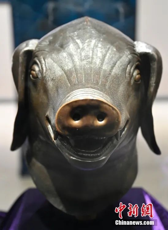 猪首在北京圆明园博物馆展出。中新社记者 赵文宇 摄
