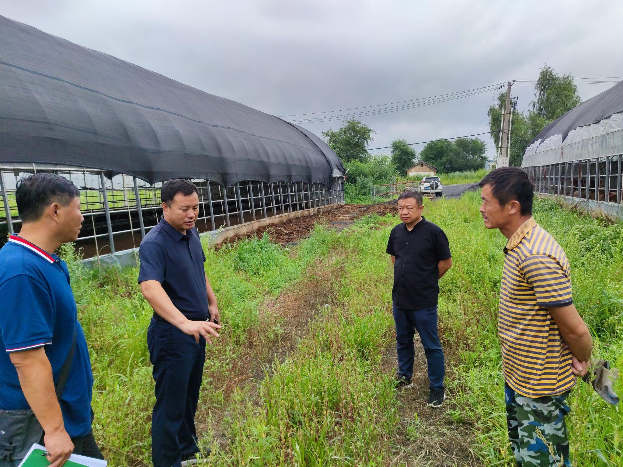 李忠和(左二)调研养殖场粪污收集点建设情况.受访者供图