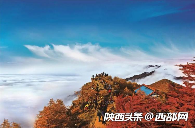 三秦四季 秋色"陕"烁来秦岭,赴一场红叶之约|秦岭_新浪财经_新浪网