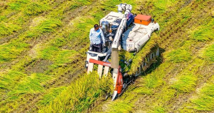坚决守牢耕地保护红线和粮食安全底线!成都最新部署来了|成都市|整改|疫情|四川省|三管三必须_新浪新闻