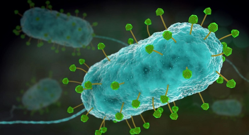 噬菌体(绿黄色)攻击细菌(蓝色).