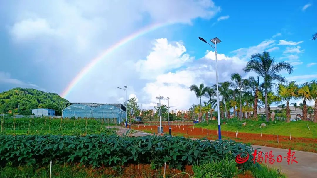 兴· 揭阳 | 普宁利泰飞鹅岭农业公园景区|揭阳市_新浪财经_新浪网
