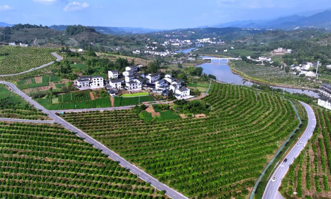 探寻重庆最美秋色