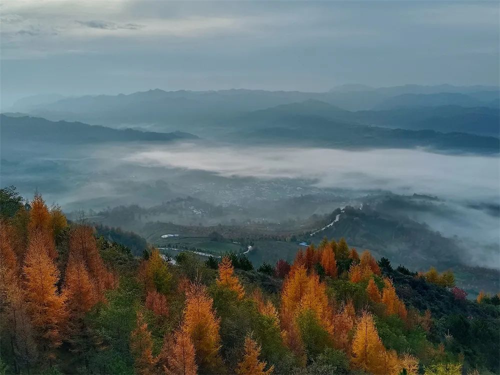 西和县云华山秋景.董旭辉 摄