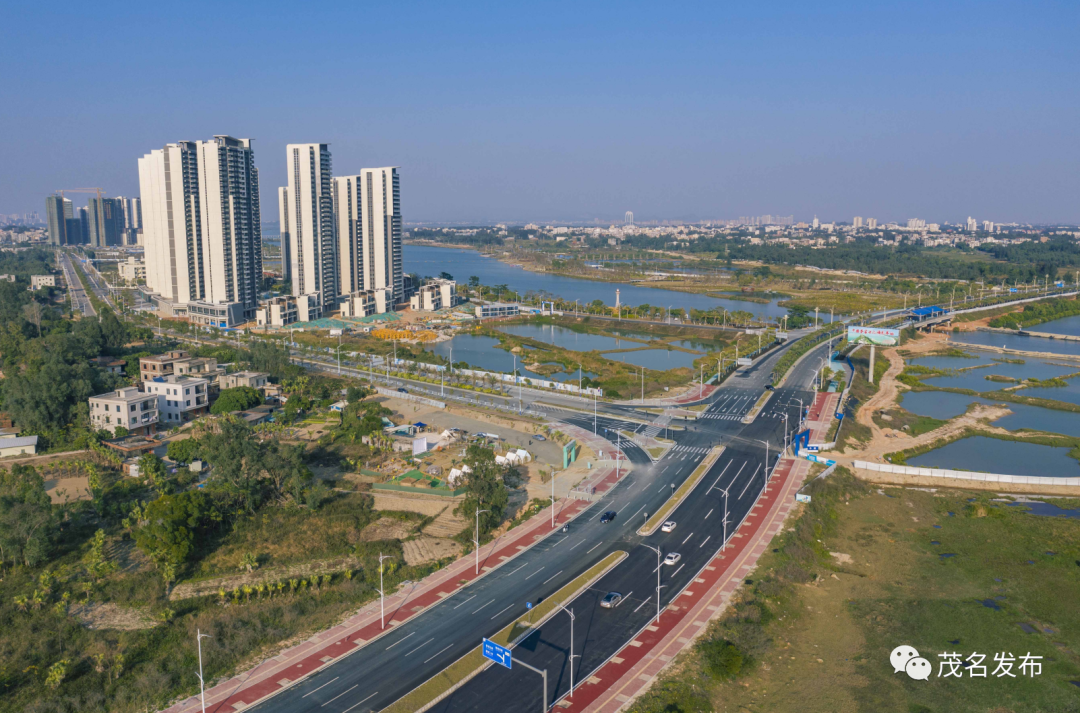 茂名日报社全媒体记者&nbsp;丘立贺 摄