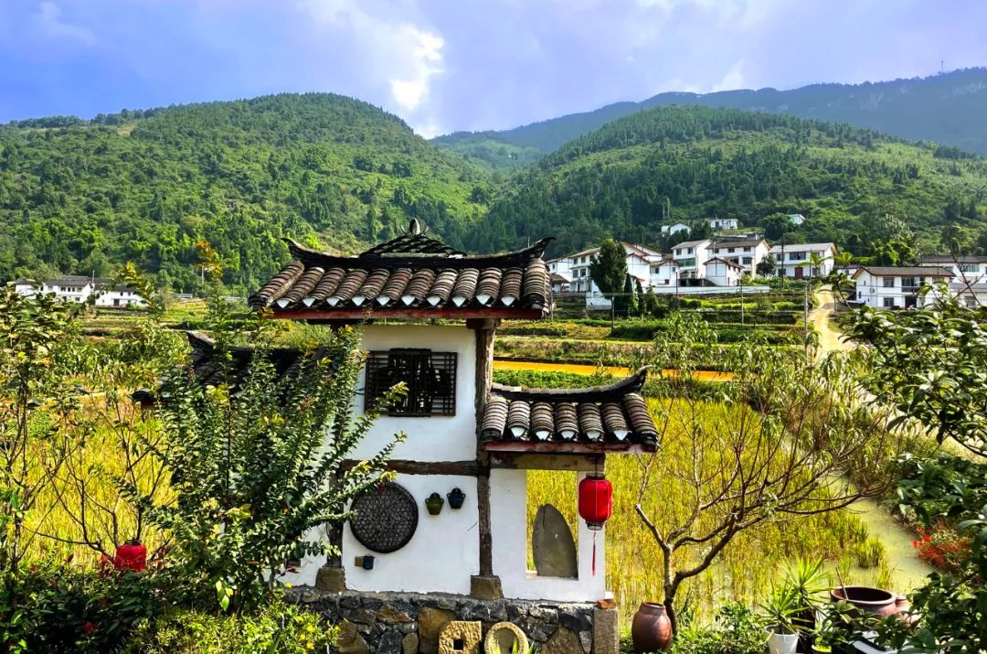 周未打卡地半山青绿半山红游古村摘柑橘探寻重庆最美秋色