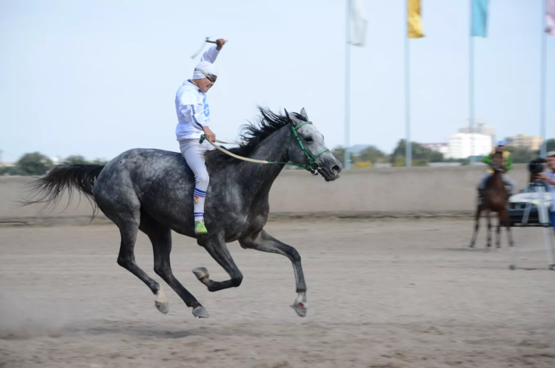 中亚马种大赏|中亚_新浪财经_新浪网