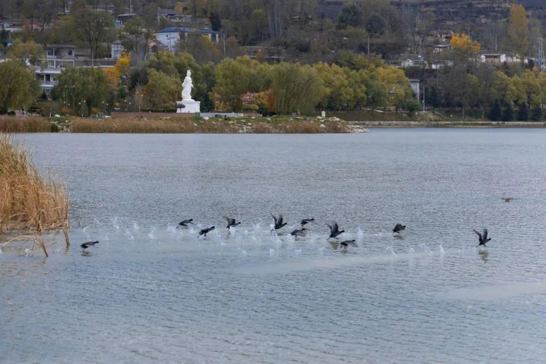 西和县晚霞湖秋色.