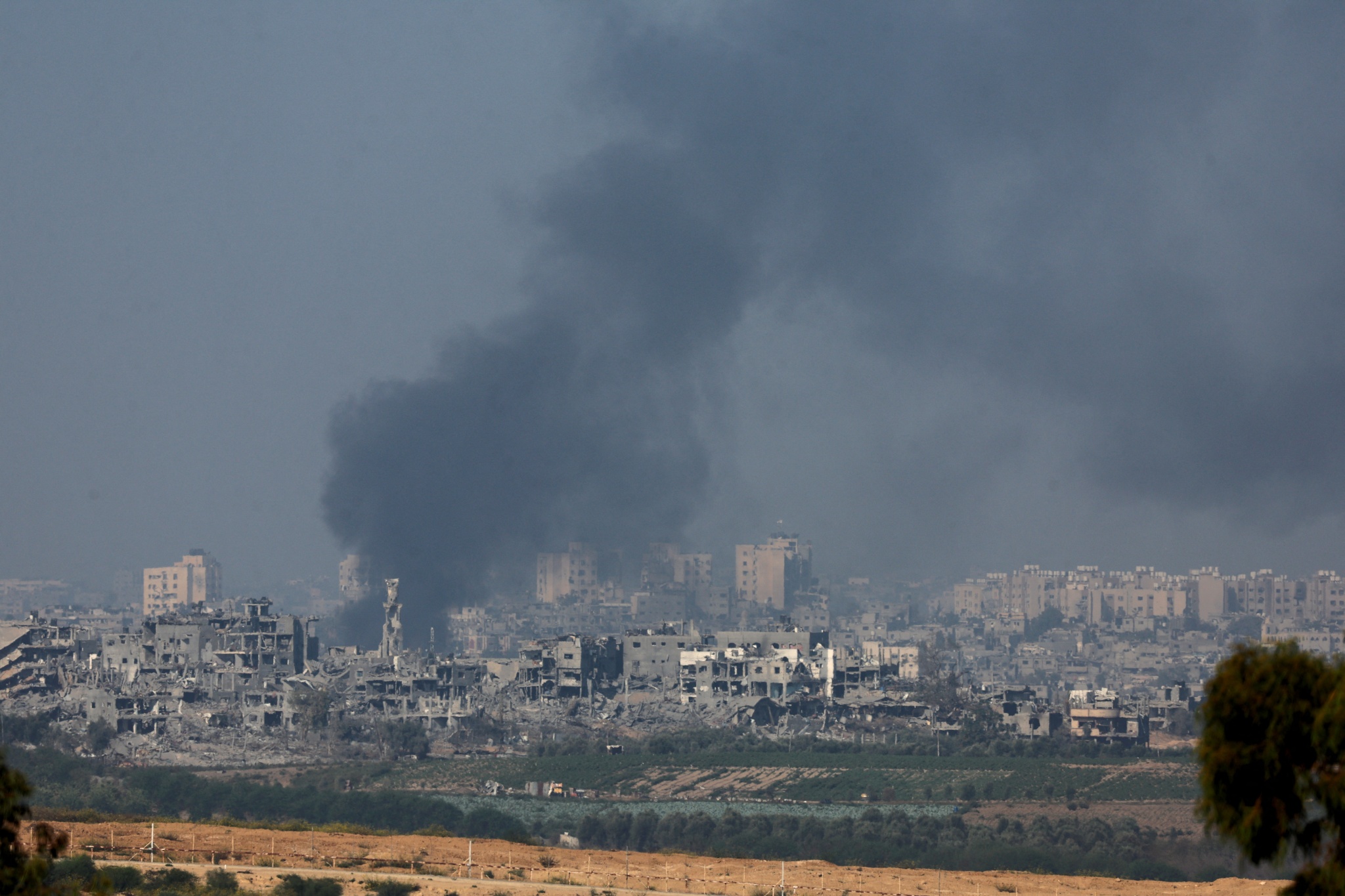 图当地时间11月2日,有报道称记者穆罕默德·阿布·哈塔卜(mohammed