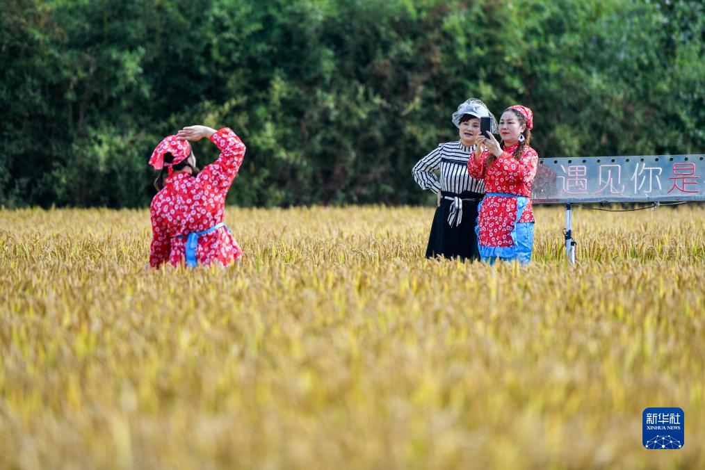 黄梅季节装修注意事项及真皮沙发盘点 誰是蒂芙尼和柳焕斌