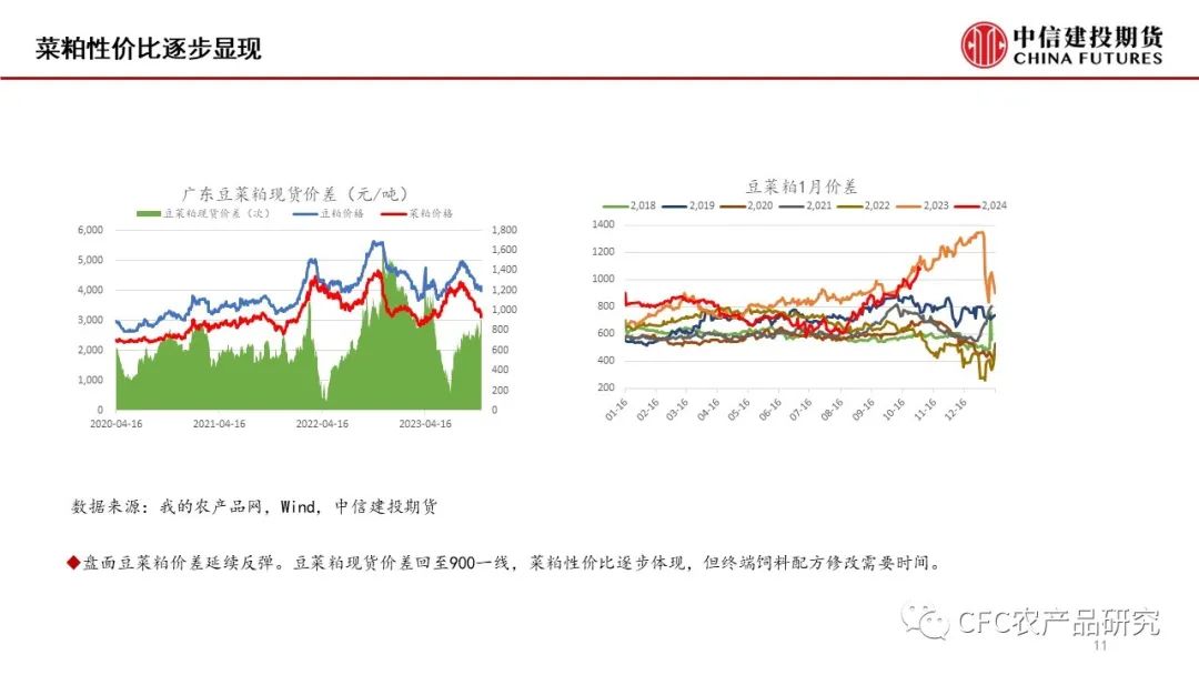 【菜系周报】年前菜系预计延续累库节奏