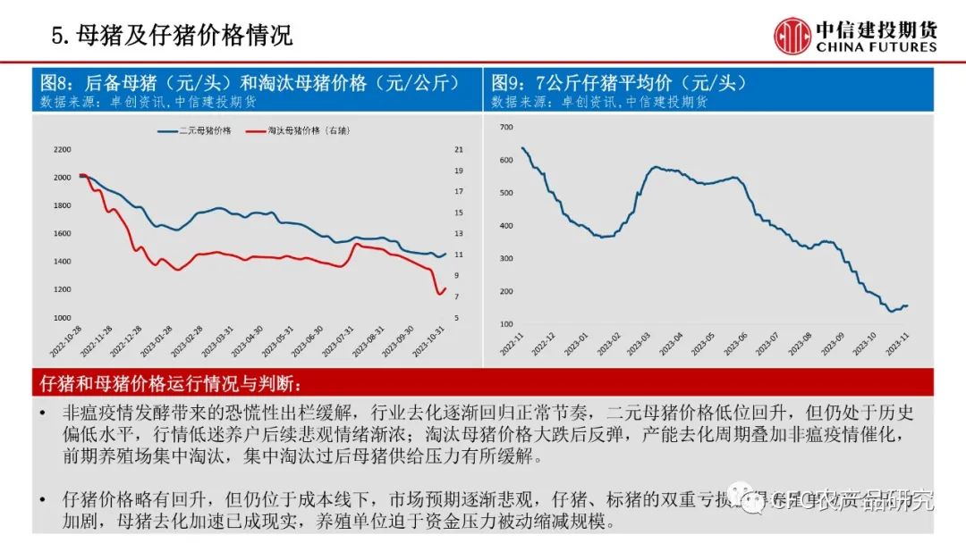 【生猪鸡蛋】生猪短期或有反弹 鸡蛋等待淘汰催化