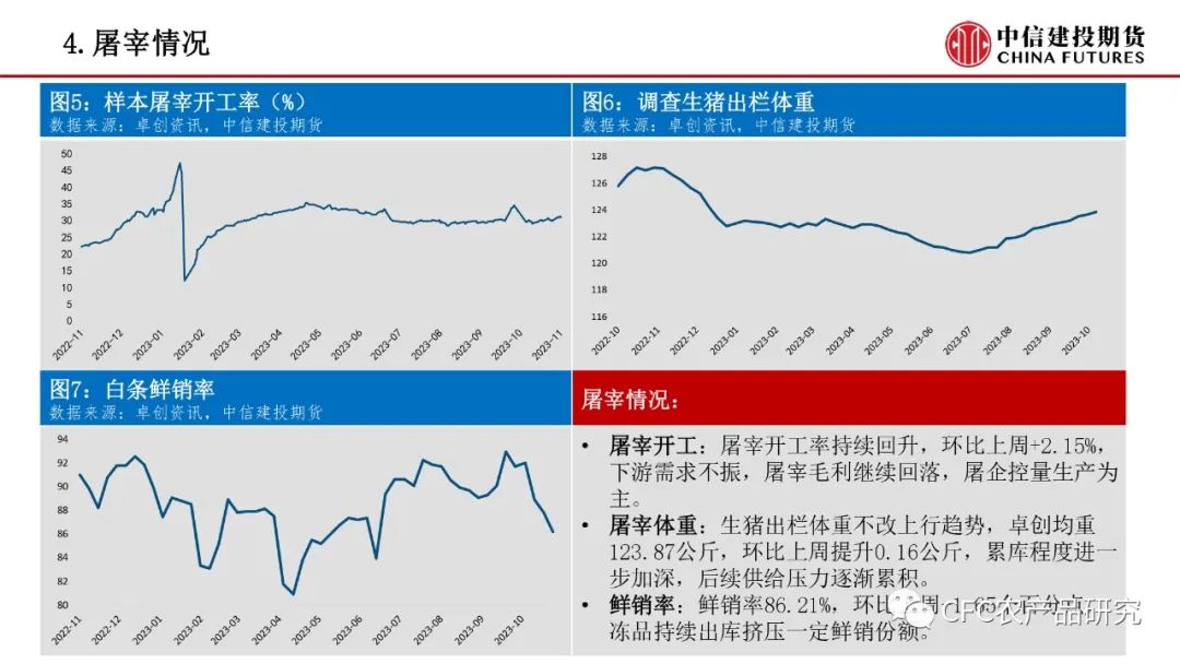 【生猪鸡蛋】生猪短期或有反弹 鸡蛋等待淘汰催化