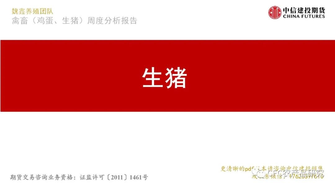 【生猪鸡蛋】生猪短期或有反弹 鸡蛋等待淘汰催化