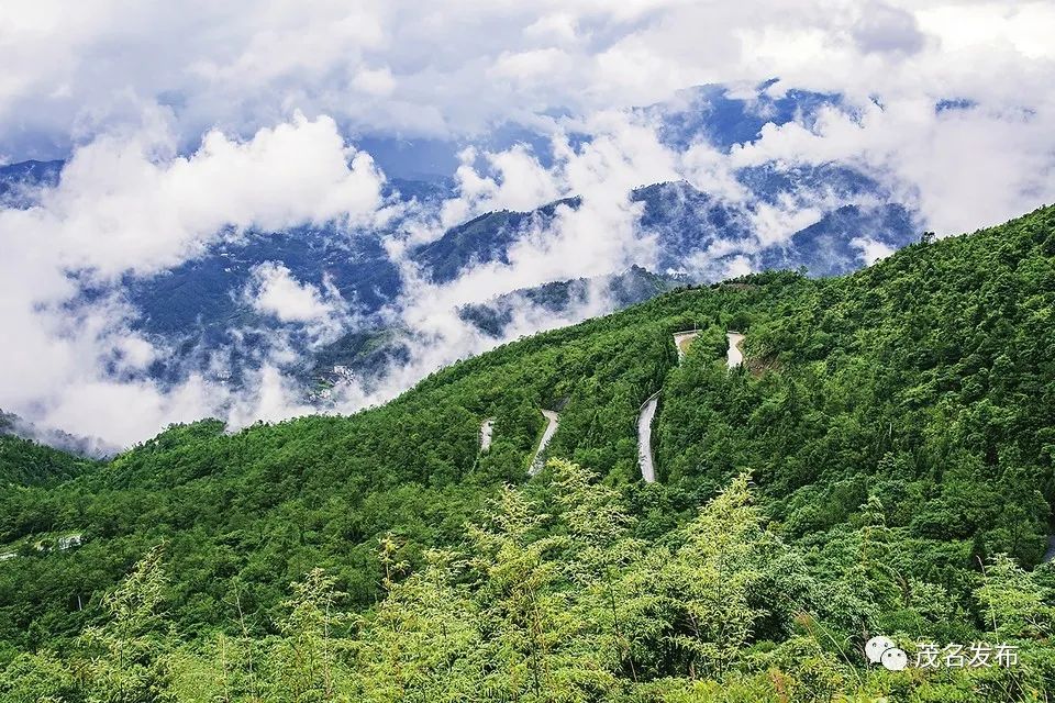 广东云开山国家级自然保护区大雾岭林区.