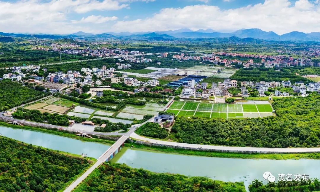 高州分界镇美丽乡村杏花村.