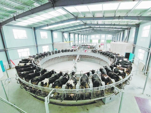 打造现代农业"样板":探访湟中区国家农业现代化示范区建设