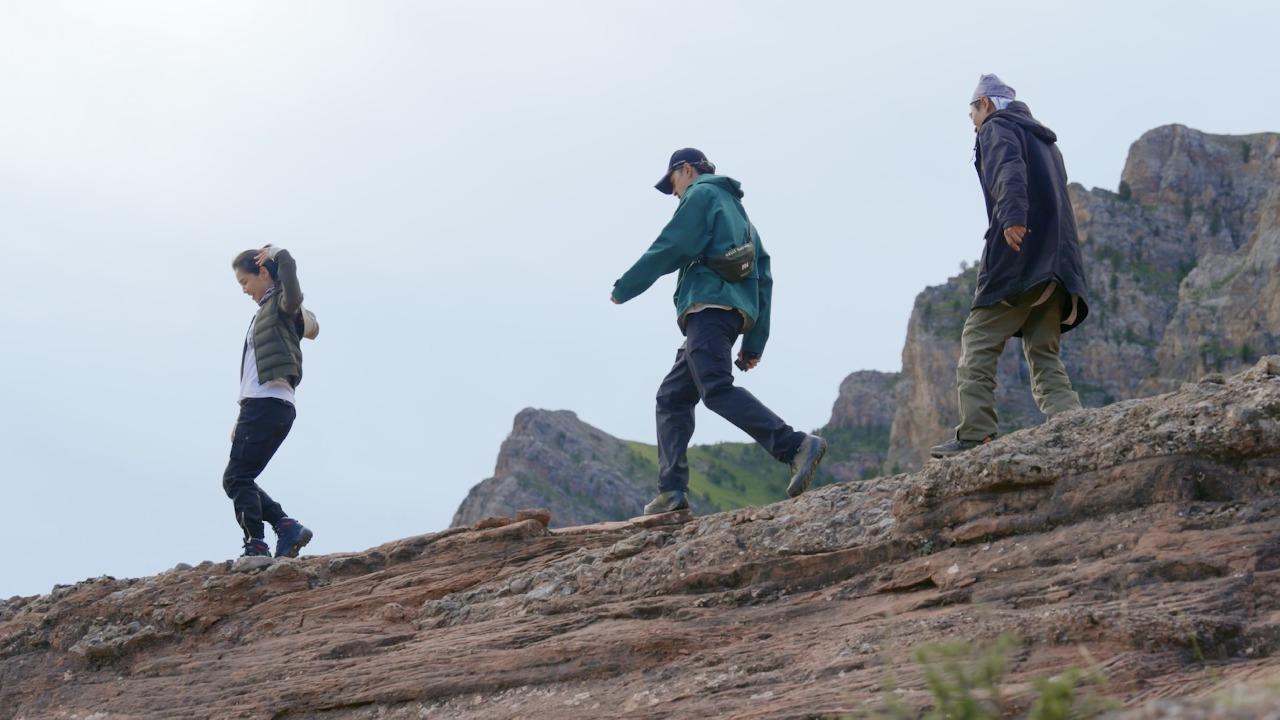 胡歌,刘涛,陈龙组队 《一路前行》11月11日开播