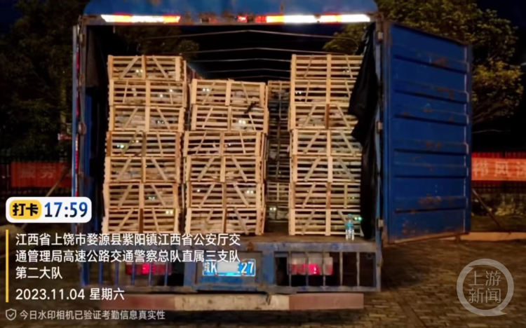 顾旻谈起这次拦截猫车的行动,过程本身就犹如一场猫