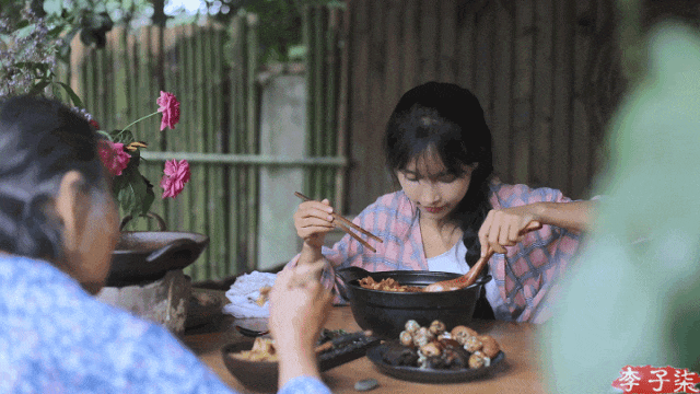 图源：李子柒视频