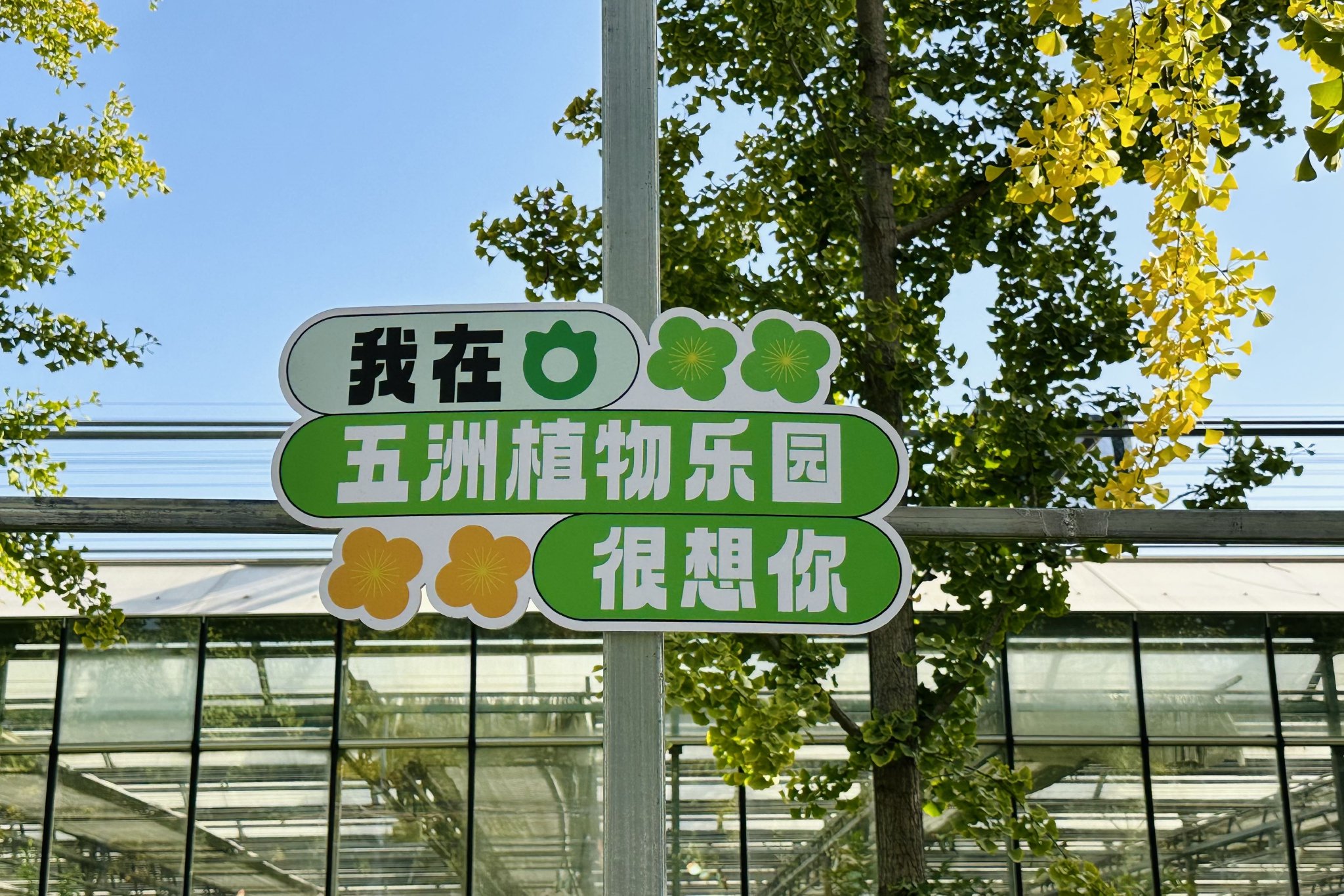 秋"丰"汇福台|南宫五洲植物乐园内的秋天趣味盎然|蝴蝶泉_新浪财经