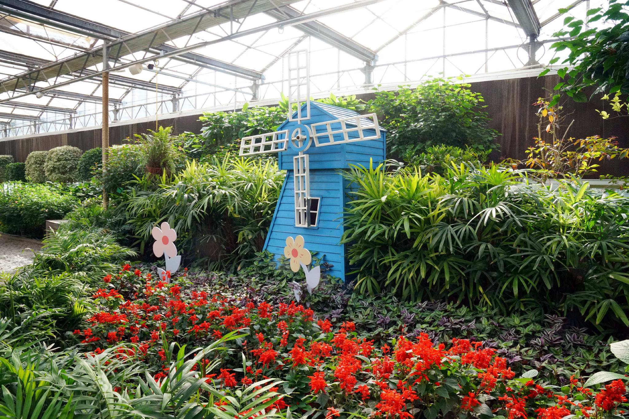 秋"丰"汇福台|南宫五洲植物乐园内的秋天趣味盎然|蝴蝶泉_新浪财经