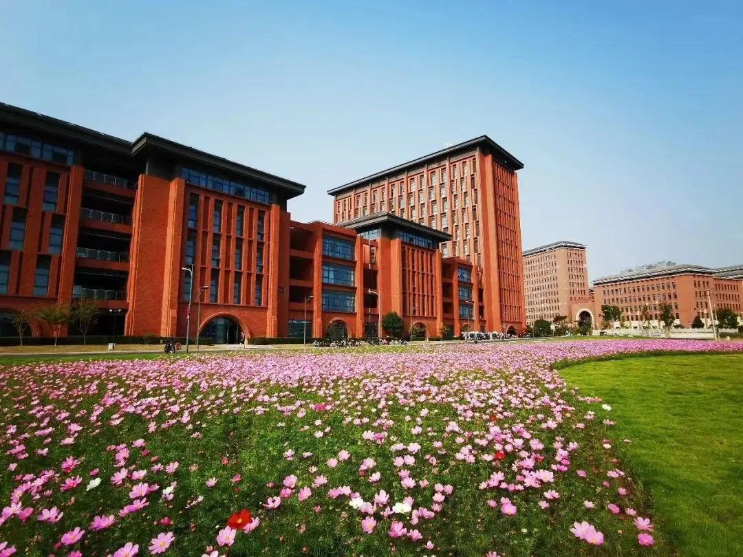 看完不敢不努力……|浙江大学_新浪财经_新浪网
