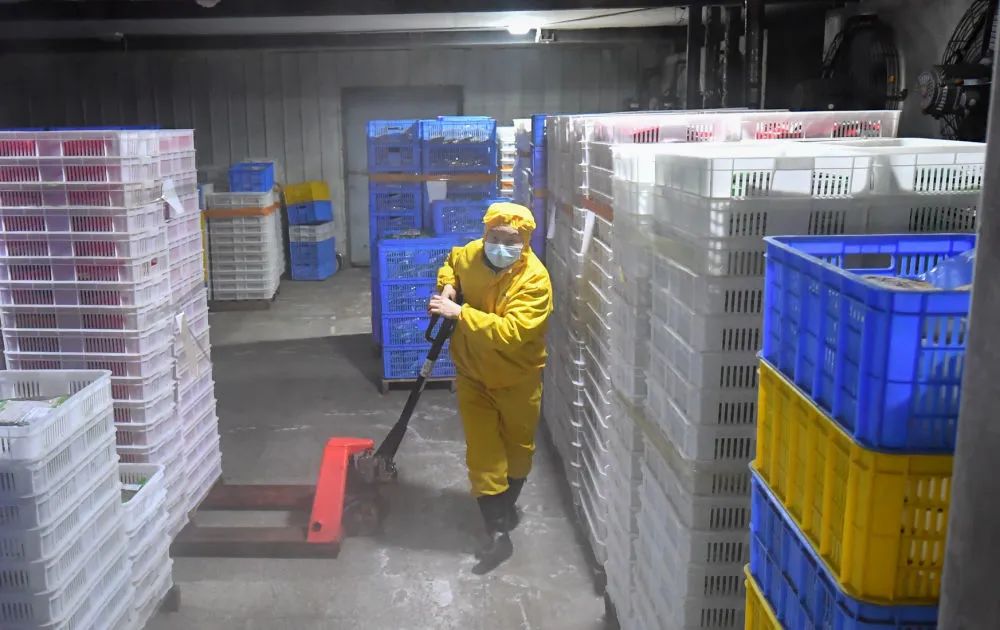 2月24日，浏阳市省级农业科技园区一家预制菜企业工作人员在冷库搬运预制菜成品（陈泽国/摄）