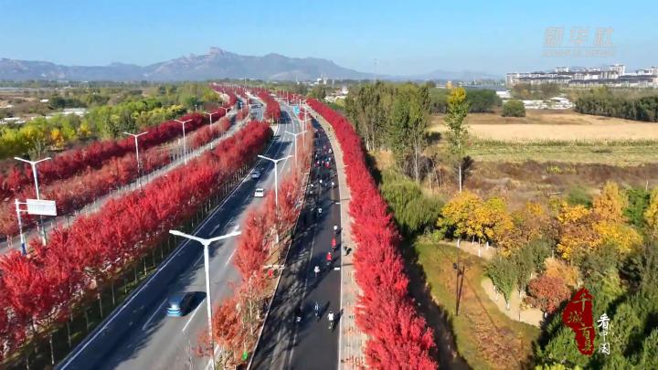 抚宁区关键词seo排名优化