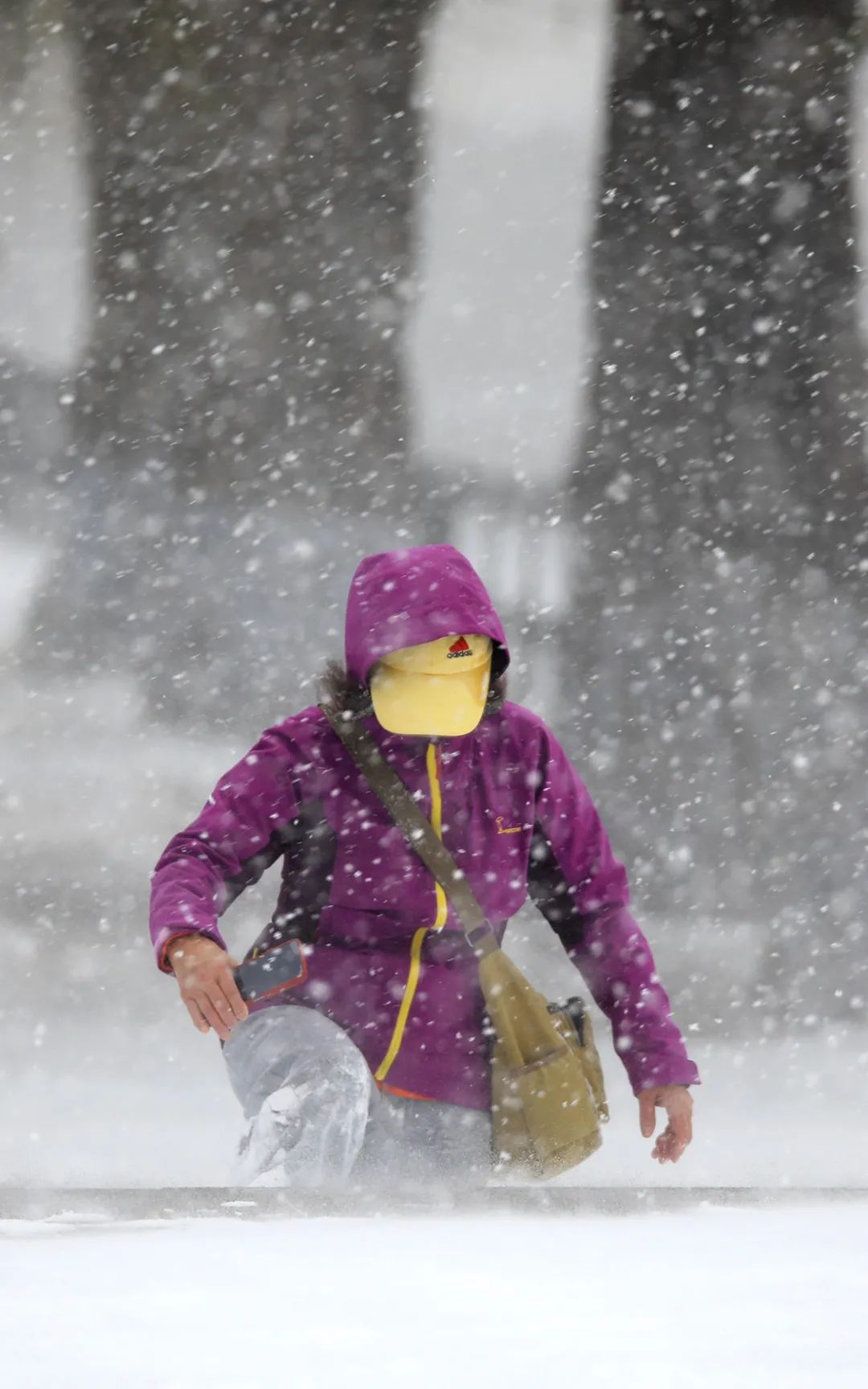 风雪相伴凝本色