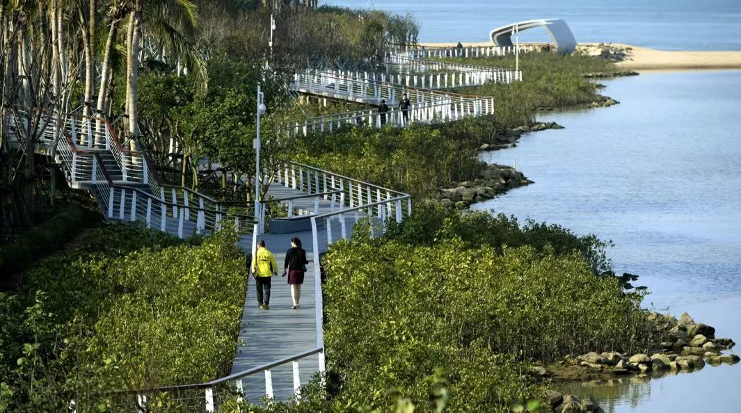 海口五源河国家湿地公园景观栈道如长龙蜿蜒至海边,吸引市民游客前来