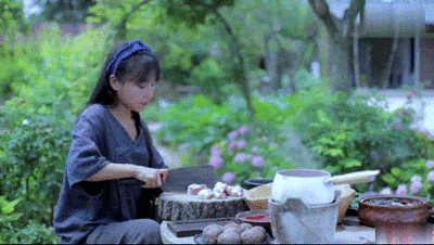 图源：李子柒视频