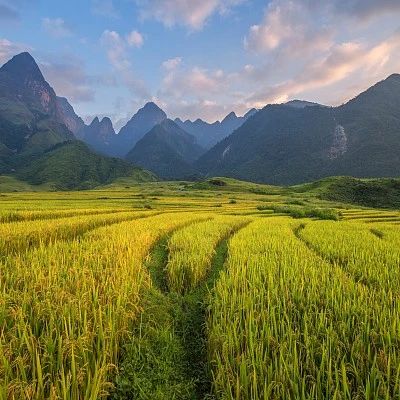 农民和粮农的区别 古代农民生活现状