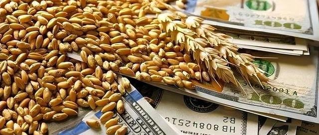 粮食生产与农民