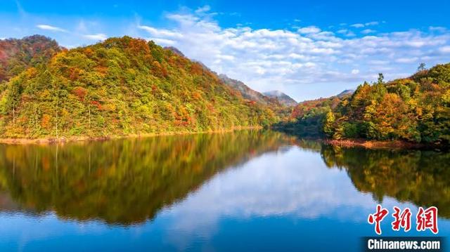 图为贵州省遵义市绥阳县宽阔水国家级自然保护区层林尽染,风景如画.
