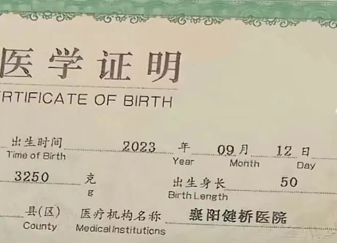 深度揭秘:襄阳贩卖婴儿案黑幕!__财经头条