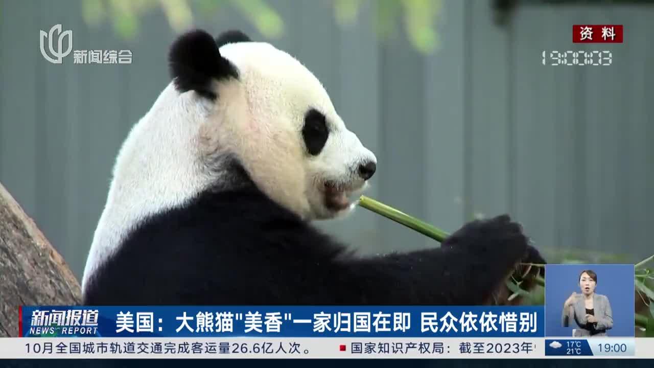 美国:大熊猫"美香"一家归国在即 民众依依惜别