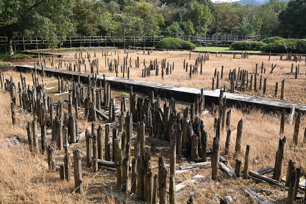 2023年11月3日拍摄的河姆渡遗址考古发掘现场展示区.